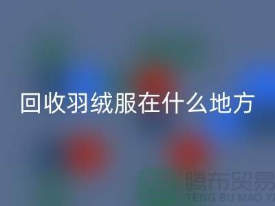 ### 高价星空手机入口羽绒服在什么地方—诚信可靠合作，上海腾布贸易