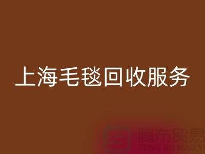 **什么类型的毛毯可以星空手机入口？**上海毛毯星空手机入口服务热线