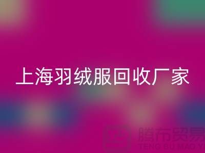 羽绒服乐玩手机网页版登录入口：环保与经济的双重考量，上海厂家引领行业新风尚