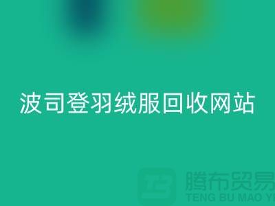 波司登羽绒服星空手机入口平台：高价星空手机入口，环保与价值并存