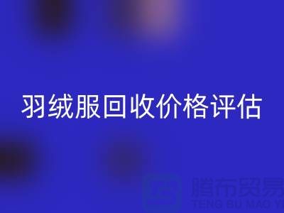 二手蒙口羽绒服乐玩手机网页版登录入口平台：价格评估、上门议价与现金收货服务介绍