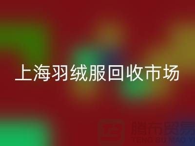 高价星空手机入口羽绒服15元是真的吗？上海羽绒服星空手机入口市场前景与分析
