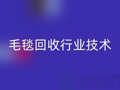 毛毯星空手机入口行业技术创新推动发展，政策支持力度加大