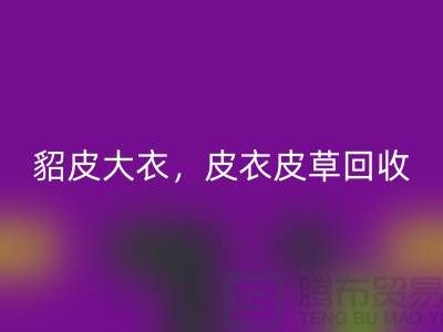 貂皮大衣星空手机入口，皮衣皮草星空手机入口，高档大衣星空手机入口-上海库存服装星空手机入口公司