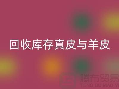 环保与时尚并重——探索星空手机入口库存真皮与羊皮的价值