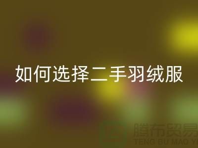 如何选择二手蒙口羽绒服乐玩手机网页版登录入口平台@上海库存服装乐玩手机网页版登录入口公司