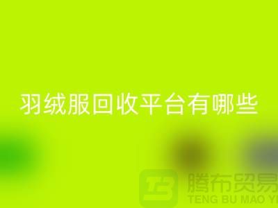 羽绒服星空手机入口平台有哪些公司或者品牌-星空手机入口