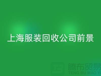 库存辅料星空手机入口市场分析表的深入解析及前景展望-上海服装星空手机入口公司