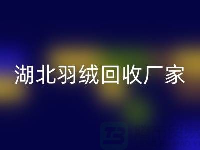 湖北羽绒星空手机入口，循环利用的新风尚