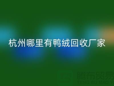 揭秘羽绒星空手机入口市场，每斤价值几何？杭州鸭绒星空手机入口厂家