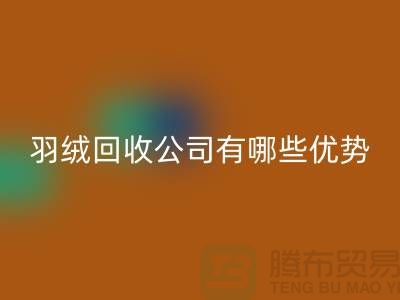 ### 上海羽绒星空手机入口公司优势解析：价格公道，服务优质