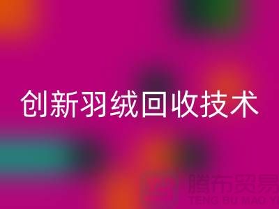 创新羽绒星空手机入口技术，环保的未来