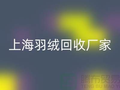 星空手机入口羽绒，价值与责任的双赢选择-上海羽绒星空手机入口厂家