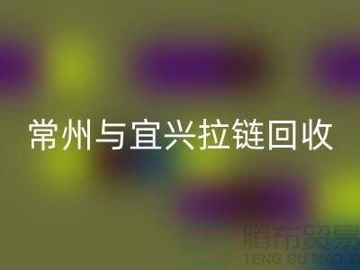 # 常州与宜兴拉链星空手机入口：环保且经济高效的选择
