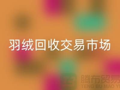 打造绿色未来，羽绒星空手机入口交易市场的新篇章