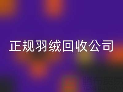 正规羽绒乐玩手机网页版登录入口公司 —— 您的羽绒服、羽绒被及羽绒制品的环保再生伙伴