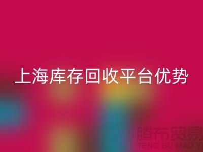 探索上海布料星空手机入口公司的优势与机遇（上海库存星空手机入口平台）