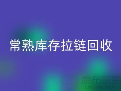 常熟库存拉链星空手机入口公司市场前景的挑战与支持政策
