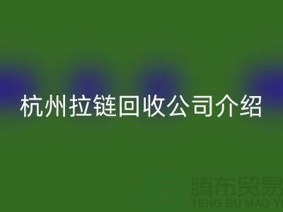 库存拉链乐玩手机网页版登录入口市场前景分析——杭州拉链乐玩手机网页版登录入口公司篇