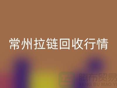 常州拉链乐玩手机网页版登录入口厂家-宜兴拉链乐玩手机网页版登录入口多少钱-常州拉链头乐玩手机网页版登录入口公司