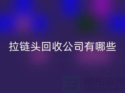 拉链头乐玩手机网页版登录入口公司有哪些名字或者品牌-上海拉链乐玩手机网页版登录入口市场