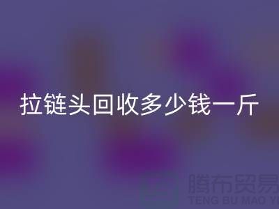 ### 扬州拉链头星空手机入口公司介绍-行业中经济实惠的平台