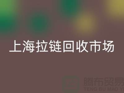 上海拉链乐玩手机网页版登录入口公司：如何走出困境的发展方向