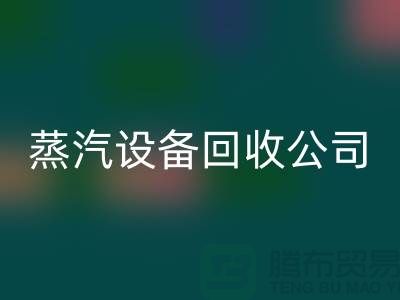 锅炉设备星空手机入口厂家：环保与经济效益的完美结合-蒸汽设备星空手机入口公司