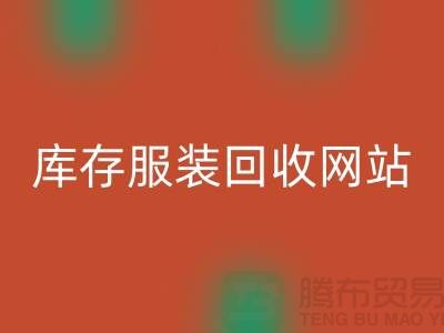 库存服装星空手机入口网站：环保与时尚的桥梁