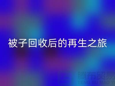 被子星空手机入口后的再生之旅