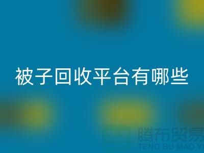 被子星空手机入口平台有哪些？探索环保新选择