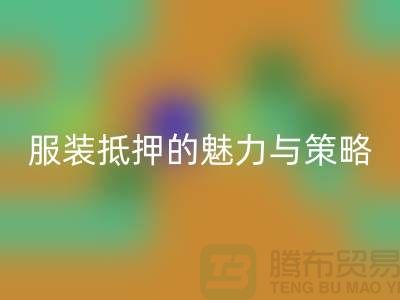 解锁衣橱新财富：服装抵押的魅力与策略——上海服装星空手机入口公司