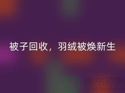 全新被子乐玩手机网页版登录入口，羽绒被焕新生——江苏南通家纺城引领绿色未来