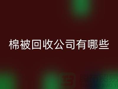 棉被星空手机入口公司有哪些—浙江库存面料星空手机入口厂家：环保与经济的双重助力