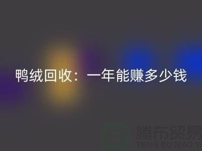 鸭绒乐玩手机网页版登录入口：一年挣多少钱？@上海羽绒乐玩手机网页版登录入口联系方式揭秘