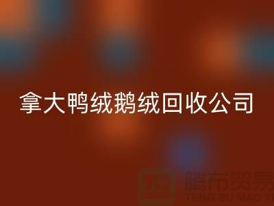 探秘加拿大鸭绒鹅绒乐玩手机网页版登录入口公司：环保与品质的双重坚守