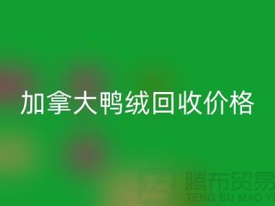 加拿大鸭绒星空手机入口价格表最新仅供参考