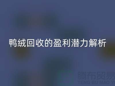 鸭绒乐玩手机网页版登录入口的盈利潜力解析——上海腾布贸易地址