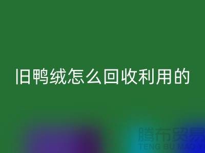 旧鸭绒怎么星空手机入口利用的？白鸭绒星空手机入口价格_杭州羽绒星空手机入口公司