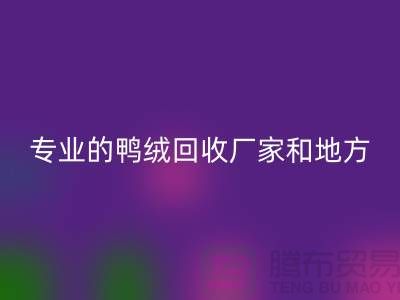 探索鸭绒乐玩手机网页版登录入口：寻找上海专业的乐玩手机网页版登录入口厂家与地方