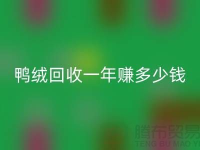 鸭绒乐玩手机网页版登录入口一年挣多少钱？揭秘利润与环保的双重收益