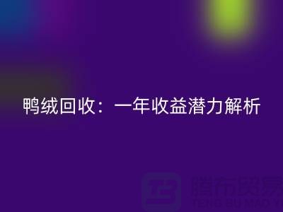 鸭绒乐玩手机网页版登录入口：一年收益潜力解析@上海腾布贸易