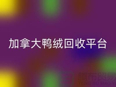 加拿大鸭绒星空手机入口平台有哪些公司，优势有哪些