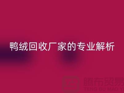 90%白鹅绒、90%白鸭绒与90%灰鸭绒：上海鸭绒乐玩手机网页版登录入口厂家的专业解析