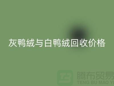 ### 灰鸭绒与白鸭绒：价格及乐玩手机网页版登录入口详解