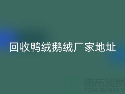 星空手机入口鸭绒鹅绒厂家介绍以及地址
