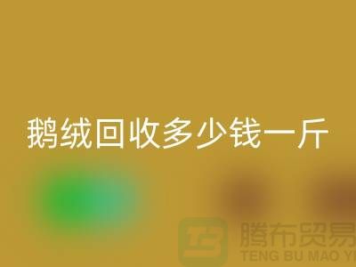 加拿大鸭绒星空手机入口公司探秘——鹅绒星空手机入口多少钱一斤