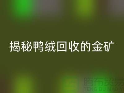 揭秘鸭绒乐玩手机网页版登录入口的金矿，一年能挣多少钱？上海羽绒乐玩手机网页版登录入口厂家