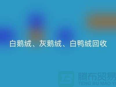 白鹅绒、灰鹅绒、白鸭绒、灰鸭绒乐玩手机网页版登录入口——上海鸭绒乐玩手机网页版登录入口厂家