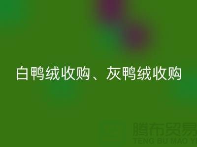 白鸭绒收购、灰鸭绒收购、白鹅绒收购、灰鹅绒收购、上海羽绒乐玩手机网页版登录入口厂家